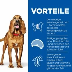 Hills Science Plan Canine Light Mature Adult 7+ Medium Mit Huhn Trockenfutter 14 Kg Trockenfutter 7 Hills Science Plan Canine Light Mature Adult 7+ Medium Mit Huhn Trockenfutter 14 Kg Trockenfutter -ROYAL CANIN Verkäufe PnyWpteWO0ul 52742026169 3