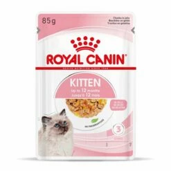 Royal Canin Kitten Frischebeutel Mit Gelee 12 X 85 G In Gelee Frischebeutel -ROYAL CANIN Verkäufe Q2QqEQlLp6yX 9003579311783 4503 Packshot