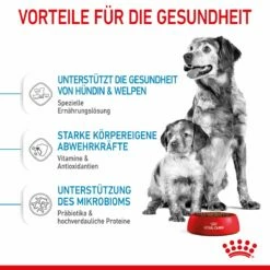 Royal Canin Medium Starter Trockenfutter 15 Kg Trockenfutter Für Hunde 16 Royal Canin Medium Starter Trockenfutter 15 Kg Trockenfutter Für Hunde -ROYAL CANIN Verkäufe QR192y0rQSEp 3182550932714 2515 4