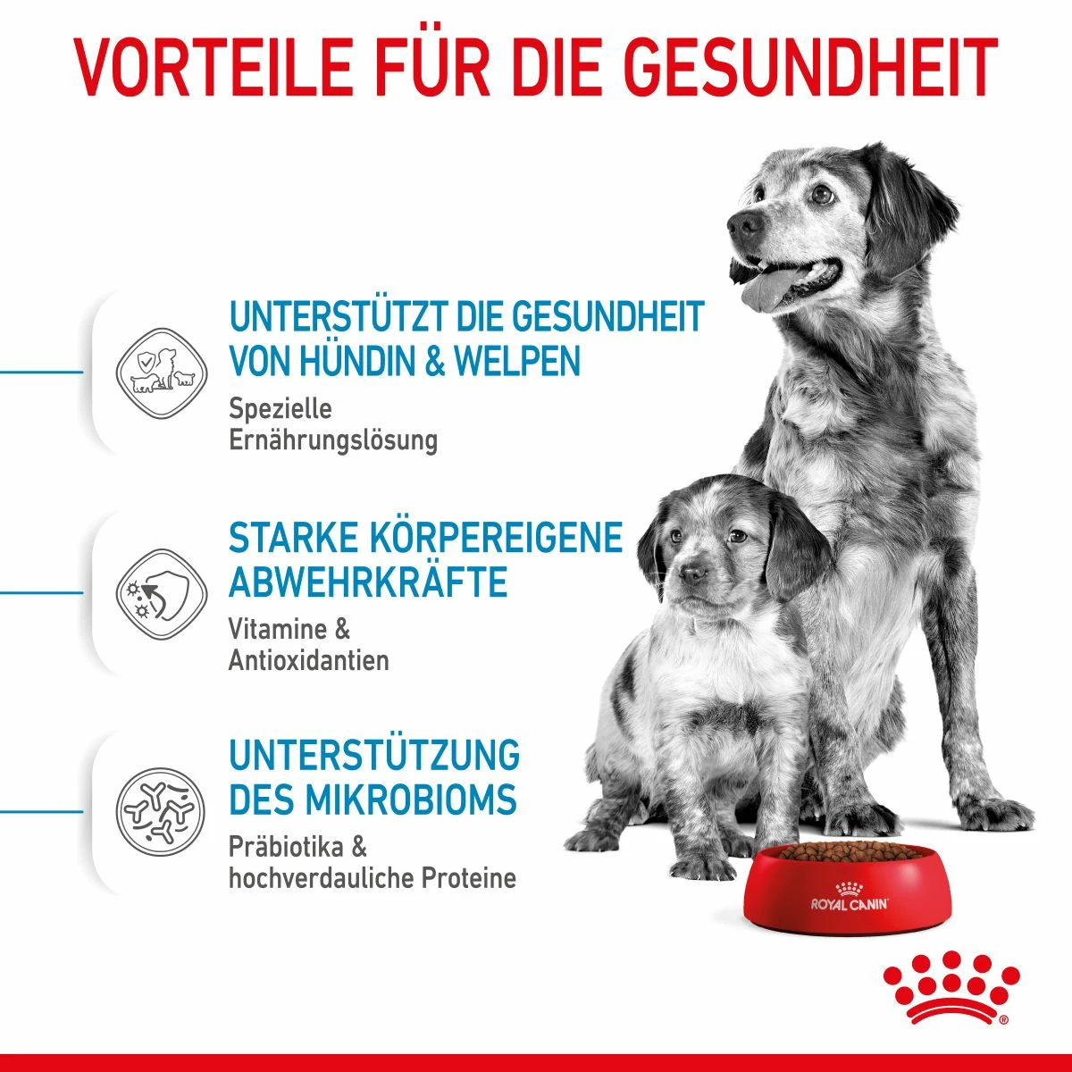 Royal Canin Medium Starter Trockenfutter 15 Kg Trockenfutter Für Hunde 7 Royal Canin Medium Starter Trockenfutter 15 Kg Trockenfutter Für Hunde – Bild 5