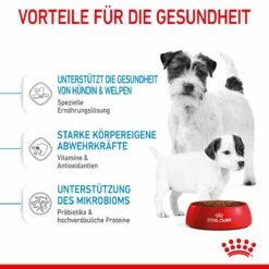 Royal Canin Mini Starter Trockenfutter 4 Kg Trockenfutter -ROYAL CANIN Verkäufe R0BwgXOmGP0f 3182550932707 2504 4