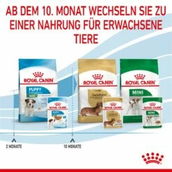 Royal Canin Mini Puppy Frischebeutel 12 X 85 G Frischebeutel Für Hunde -ROYAL CANIN Verkäufe S3Pn6KJg0Ad2 9003579008201 4701 8
