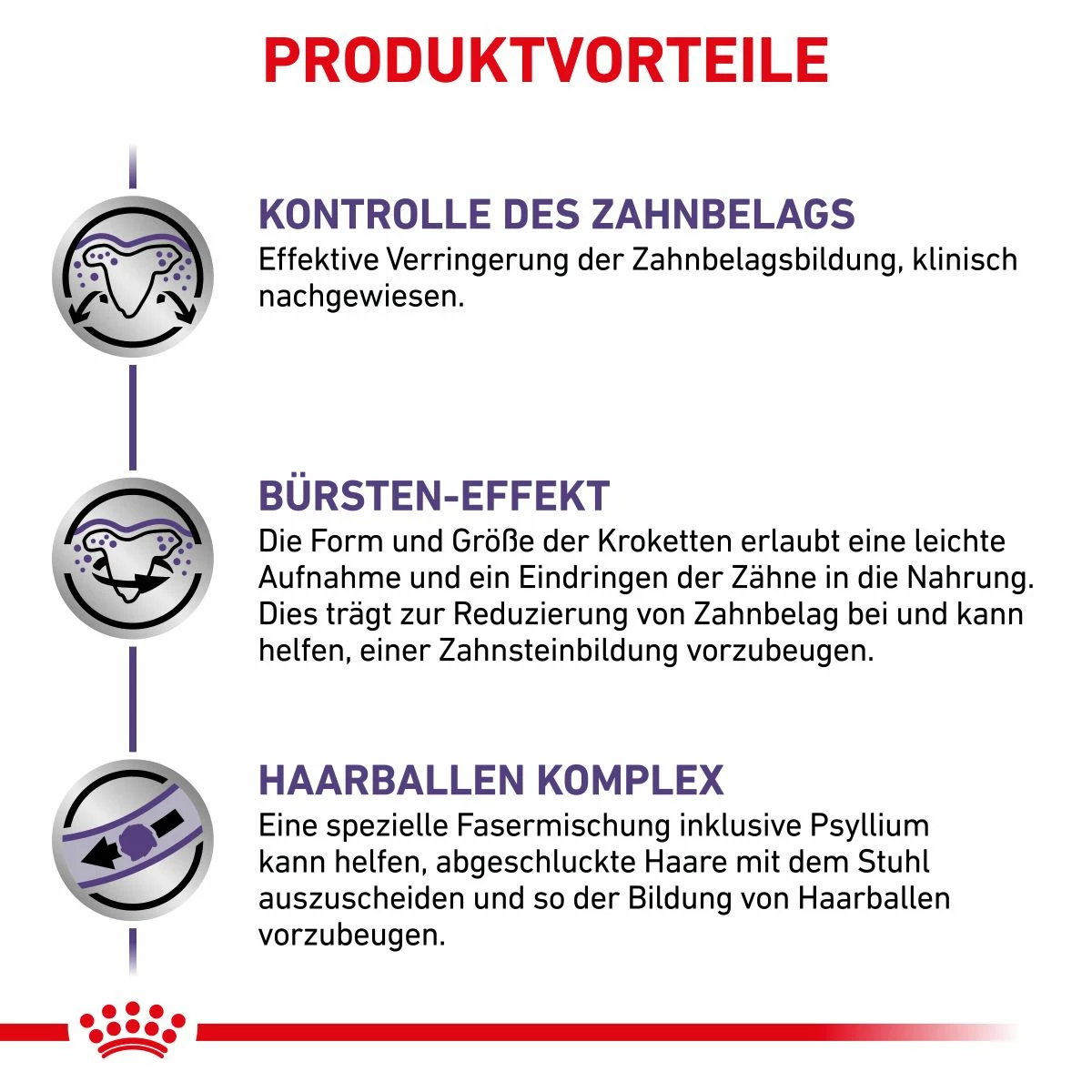 Royal Canin Dental Trockenfutter Für Katzen 1,5 Kg Trockenfutter Für Katzen 5 Royal Canin Dental Trockenfutter Für Katzen 1,5 Kg Trockenfutter Für Katzen – Bild 3