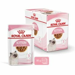 Royal Canin Kitten Second Age Für Kätzchen Bis Zum 12. Monat 12 X 85 G In Soße Frischebeutel -ROYAL CANIN Verkäufe SkFqwFeeL83P 9003579308745 4501 2