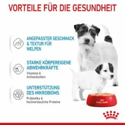 Royal Canin Starter Ultra Soft Mousse Für Welpen 12 X 195 G -ROYAL CANIN Verkäufe Smn5EA4AZdCE 9003579020036 4300 4