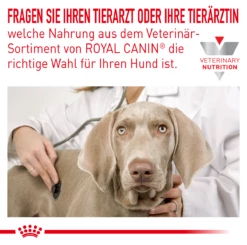 Royal Canin Hypoallergenic Hundefutter 2 Kg Trockenfutter Für Hunde -ROYAL CANIN Verkäufe TFczqNBRSIE2 3182550939904 5739 3