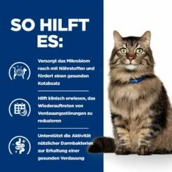 Hills Prescription Diet Feline Gastrointestinal Biome Ragout In Dosen Für Katzen 24 X 82 G Ragout In Dosen Für Katzen -ROYAL CANIN Verkäufe Tb7dTFfKXeVk 52742026770 4