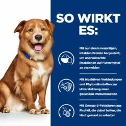 Hills Prescription Diet Canine Derm Complete Dosenfutter Für Hunde 12 X 370 G Dosenfutter Für Hunde -ROYAL CANIN Verkäufe Ti9yBPDTVN6I 52742038865 3