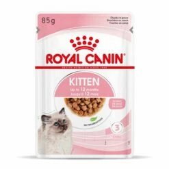 Royal Canin Kitten Second Age Für Kätzchen Bis Zum 12. Monat 12 X 85 G In Soße Frischebeutel -ROYAL CANIN Verkäufe TwzlIf7AQgTc 9003579308745 4501 Packshot