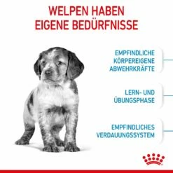 Royal Canin Medium Puppy Für Welpen Mittelgroßer Hunderassen 4 Kg Trockenfutter -ROYAL CANIN Verkäufe TygQwR35BMyl 3182550402132 2905 3