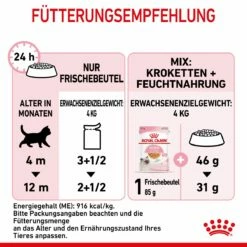 Royal Canin Kitten Frischebeutel Mit Gelee 12 X 85 G In Gelee Frischebeutel -ROYAL CANIN Verkäufe UI0bRnhIafTO 9003579311783 4503 7