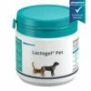 Almapharm Lactogel Pet 100 G Pulver Dose -ROYAL CANIN Verkäufe UQfUMmhhREwN Lactogel Pet 100g DO 1562 200x40 PP 1000x1000 drhoelter