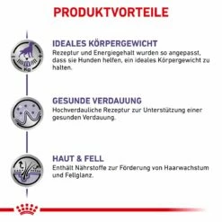 Royal Canin Neutered Adult Frischebeutel Für Hunde 12 X 100 G Frischebeutel Für Hunde 11 Royal Canin Neutered Adult Frischebeutel Für Hunde 12 X 100 G Frischebeutel Für Hunde -ROYAL CANIN Verkäufe UjAQj2rDRSHV 9003579015476 4042 3