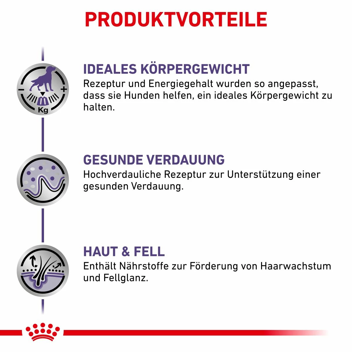 Royal Canin Neutered Adult Frischebeutel Für Hunde 12 X 100 G Frischebeutel Für Hunde 5 Royal Canin Neutered Adult Frischebeutel Für Hunde 12 X 100 G Frischebeutel Für Hunde – Bild 3