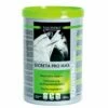 EQUISTRO Secreta Pro Max Für Pferde 800 G Secreta Pro Max 2 EQUISTRO Secreta Pro Max Für Pferde 800 G Secreta Pro Max -ROYAL CANIN Verkäufe VfvI9A1UYJNj vetoquinol equistro secreta promax 800g