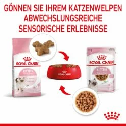 Royal Canin Kitten Second Age Für Kätzchen Bis Zum 12. Monat 12 X 85 G In Soße Frischebeutel -ROYAL CANIN Verkäufe VmjElNUv00a7 9003579308745 4501 6