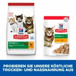 Hills Science Plan Kitten Trockenfutter 1,5 Kg Trockenfutter -ROYAL CANIN Verkäufe WD6UooMrFSdp 52742023649 5