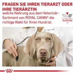 Royal Canin Gastrointestinal Low Fat Hundefutter In Dosen 12 X 200 G Low Fat Mousse Dosenfutter 25 Royal Canin Gastrointestinal Low Fat Hundefutter In Dosen 12 X 200 G Low Fat Mousse Dosenfutter -ROYAL CANIN Verkäufe WQmAY4AdUUrh 9003579024515 58 8
