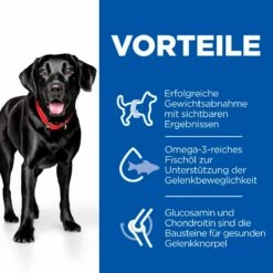 Hills Science Plan Canine Perfect Weight + Active Mobility Adult Large Breed Trockenfutter 12 Kg Huhn Trockenfutter -ROYAL CANIN Verkäufe XY6JPheyTZ8U 52742052410 3