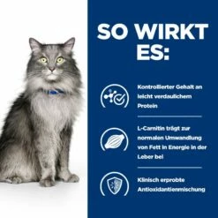 Hills L/D Trockenfutter Für Katzen 1,5 Kg Trockenfutter Für Katzen -ROYAL CANIN Verkäufe Y7DtGhm63iRa 52742869506 3
