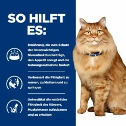 Hills K/d + Mobility Frischebeutel Für Katzen 12 X 85 G Frischebeutel Für Katzen -ROYAL CANIN Verkäufe YmxOI0hQh612 52742011561 4