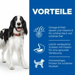Hills Science Plan Canine Adult Huhn Dosenfutter Für Hunde 12 X 370 G Dosenfutter Mit Huhn -ROYAL CANIN Verkäufe ZPyC7cr9L8ig 52742050782 3