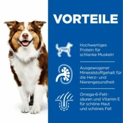 Hills Science Plan Canine Mature Adult 7+ Hund Huhn Dosenfutter 12 X 370 G Dosenfutter Mit Huhn -ROYAL CANIN Verkäufe bOfrQfyKjw55 52742051598 3