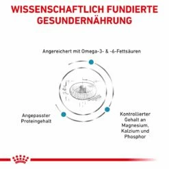 Royal Canin Skin & Coat Trockenfutter Für Katzen 1,5 Kg Trockenfutter Für Katzen -ROYAL CANIN Verkäufe cL4bfG5oQLza 3182550939188 5493 4