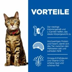 Hills Science Plan Feline Adult Light Huhn Trockenfutter Für Katzen 10 Kg Huhn Trockenfutter Für Katzen -ROYAL CANIN Verkäufe dlDhabaZSXRt 52742752006 3