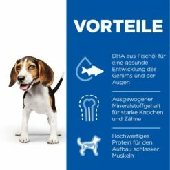 Hills Science Plan Canine Hund Puppy Huhn Dosenfutter 12 X 370 G Dosenfutter Mit Huhn -ROYAL CANIN Verkäufe exq99wwSD4s9 52742050874 3