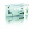 Selectavet Dermoscent PYOclean Oto Für Hunde 10 X 5 Ml Dermoscent PYOclean Oto -ROYAL CANIN Verkäufe g0QlVKWetCQf 52148b4e68fade6b750000a9 0