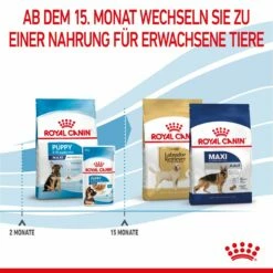 Royal Canin Maxi Puppy Für Welpen Großer Rassen 4 Kg Trockenfutter Für Hunde -ROYAL CANIN Verkäufe gCujpfZVXnqN 3182550402163 3005 6