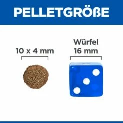 Hills Science Plan Canine Perfect Digestion Puppy Medium Trockenfutter 14 Kg Huhn & Reis Trockenfutter Für Hunde -ROYAL CANIN Verkäufe gEQHg3z5GbkM 52742053387 4