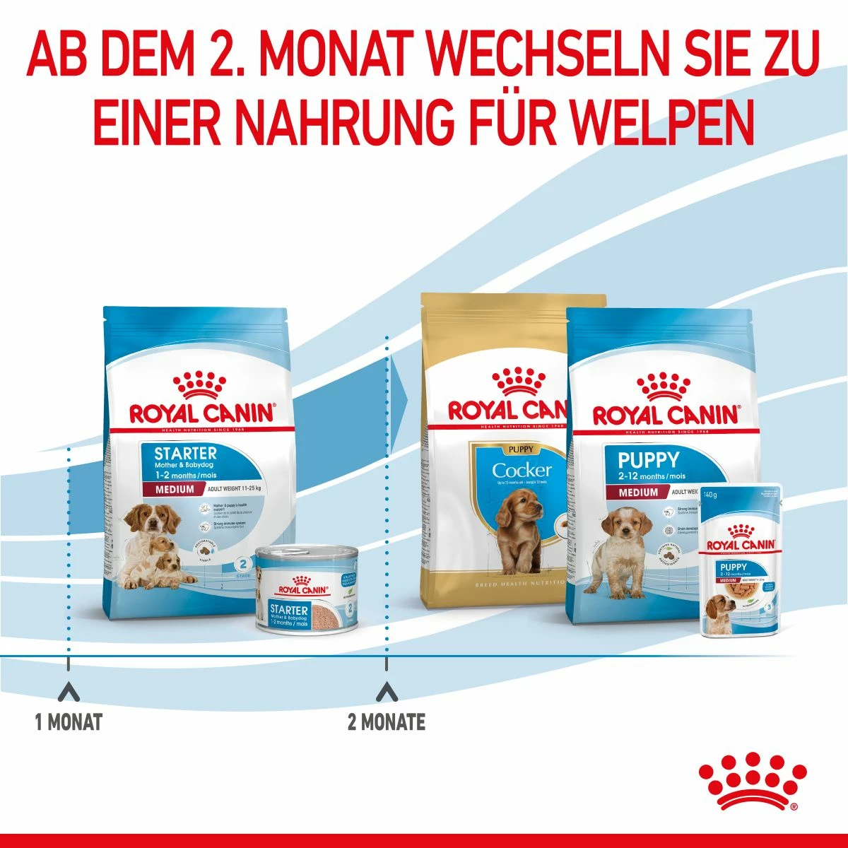 Royal Canin Medium Starter Trockenfutter 15 Kg Trockenfutter Für Hunde 9 Royal Canin Medium Starter Trockenfutter 15 Kg Trockenfutter Für Hunde – Bild 7