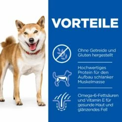 Hills Science Plan Canine Adult No Grain Medium Huhn Trockenfutter 14 Kg Trockenfutter Mit Huhn -ROYAL CANIN Verkäufe hVJYWE3RkqNb 52742037080 3