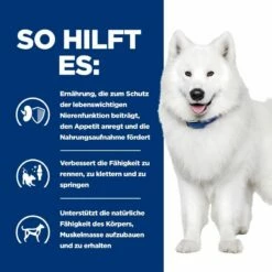 Hills K/d + Mobility Ragout In Dosen Für Hunde 12 X 354 G Dosenfutter Für Hunde -ROYAL CANIN Verkäufe iIWgzwnxkqQc 52742021423 4