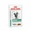Royal Canin Diabetic Nassfutter Für Katzen 12 X 85 G Frischebeutel Für Katzen -ROYAL CANIN Verkäufe jRHTs9qaCtvB 9003579011980 12 1