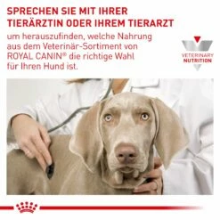 Royal Canin Neutered Adult Medium Dogs Hundefutter 9 Kg Trockenfutter Für Hunde -ROYAL CANIN Verkäufe jcj7dddV9ebh 3182550925204 6648 9