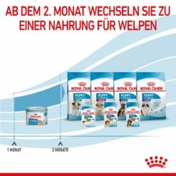 Royal Canin Starter Ultra Soft Mousse Für Welpen 12 X 195 G -ROYAL CANIN Verkäufe lRJix8xKobIA 9003579020036 4300 8