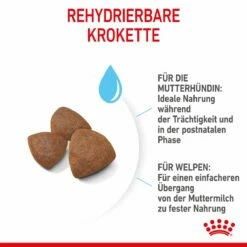 Royal Canin Medium Starter Trockenfutter 15 Kg Trockenfutter Für Hunde 17 Royal Canin Medium Starter Trockenfutter 15 Kg Trockenfutter Für Hunde -ROYAL CANIN Verkäufe ldIogIgcwsjj 3182550932714 2515 5