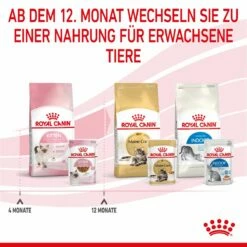 Royal Canin Kitten Second Age Für Kätzchen Bis Zum 12. Monat 12 X 85 G In Soße Frischebeutel -ROYAL CANIN Verkäufe mOI5u1yxXlGH 9003579308745 4501 9