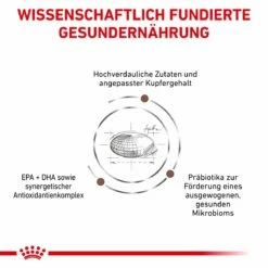 Royal Canin Hepatic Trockenfutter Für Katzen 2 Kg Katze Trockenfutter -ROYAL CANIN Verkäufe mu2KSTrN1TEn 3182550787987 5114 4