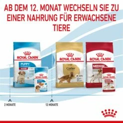 Royal Canin Medium Puppy Frischebeutel 10 X 140 G Frischebeutel Für Hunde -ROYAL CANIN Verkäufe n7NvOEGhibri 9003579008324 4711 8