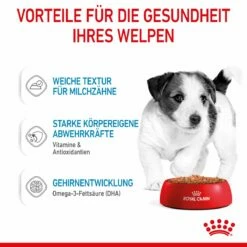 Royal Canin Mini Puppy Frischebeutel 12 X 85 G Frischebeutel Für Hunde -ROYAL CANIN Verkäufe o0XAoWBVDsbt 9003579008201 4701 4