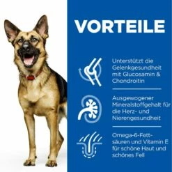 Hills Science Plan Canine Mature Adult 6+ Large Breed Hund Trockenfutter 14 Kg Trockenfutter Mit Huhn -ROYAL CANIN Verkäufe oArdzlXOj0lq 52742183008 3