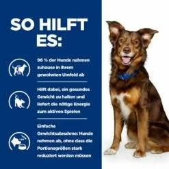 Hills Canine Metabolic Dosenfutter Für Hunde 12 X 370 G Dosenfutter Für Hunde -ROYAL CANIN Verkäufe od2UwivO6ur8 52742053059 4