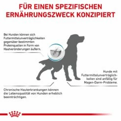 Royal Canin Sensitivity Control Trockenfutter Für Hunde 1,5 Kg Trockenfutter Für Hunde -ROYAL CANIN Verkäufe q9FTbM5Gb4kr 3182550940108 4849 8