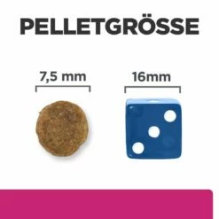 Hills Prescription Diet Canine Gastrointestinal Biome Mini Trockenfutter Für Hunde 1 Kg Trockenfutter Für Hunde -ROYAL CANIN Verkäufe r1ONgtKl7HJE 52742045597 5