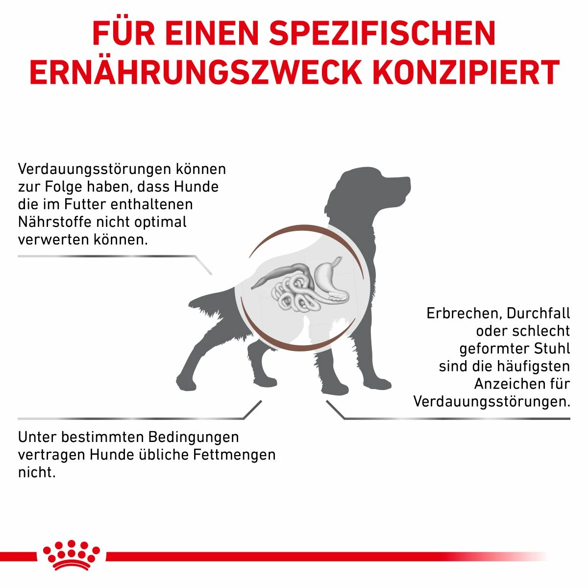 Royal Canin Gastrointestinal Low Fat Hundefutter In Dosen 12 X 200 G Low Fat Mousse Dosenfutter 10 Royal Canin Gastrointestinal Low Fat Hundefutter In Dosen 12 X 200 G Low Fat Mousse Dosenfutter – Bild 8
