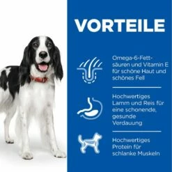 Hills Science Plan Canine Adult Medium Hund Trockenfutter 14 Kg Trockenfutter -ROYAL CANIN Verkäufe rLeOsnBucGev 52742025865 3
